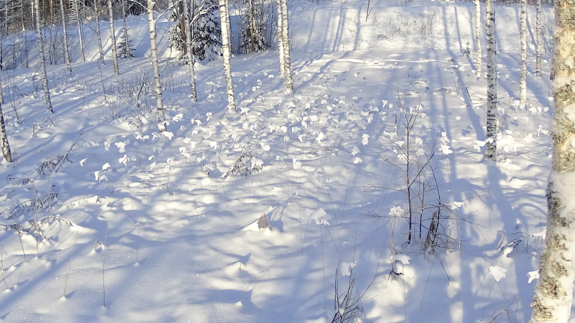 C141C831-62ED-4EA2-8CC2-98D93E136E50