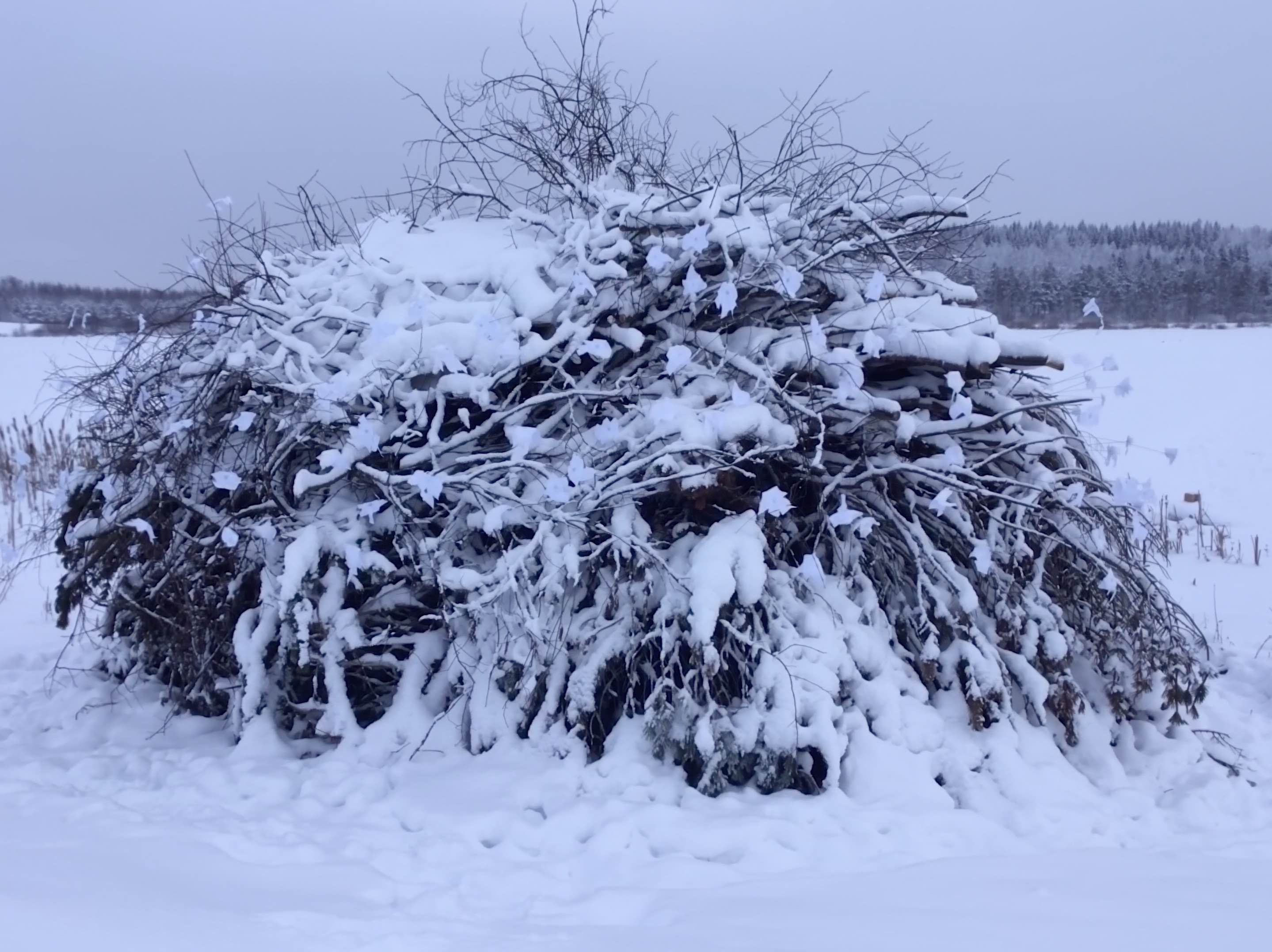 Kokko Haukijärvi, Finland